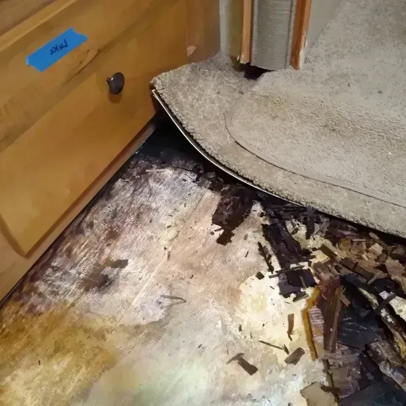 Best Wood Floor Water Damage Service in Eagle River, MI